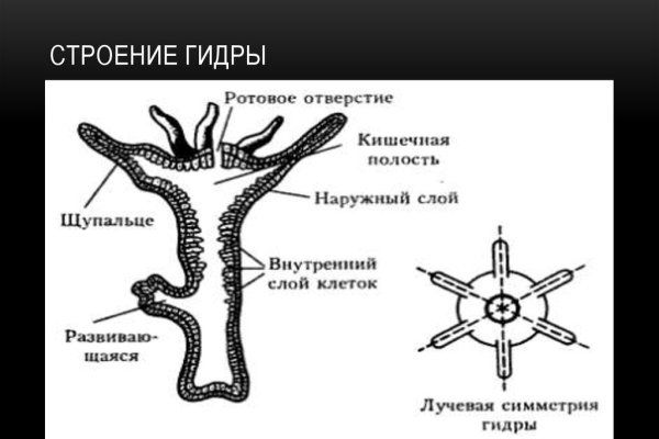 Кракен сайт как выглядит