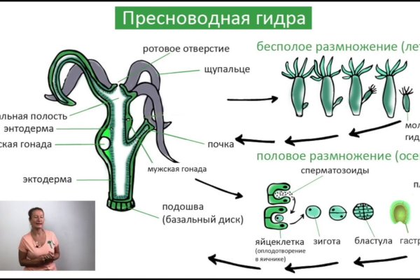 Кракен маркет даркнет только через