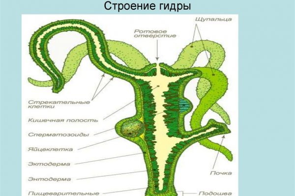 Как восстановить аккаунт на кракене