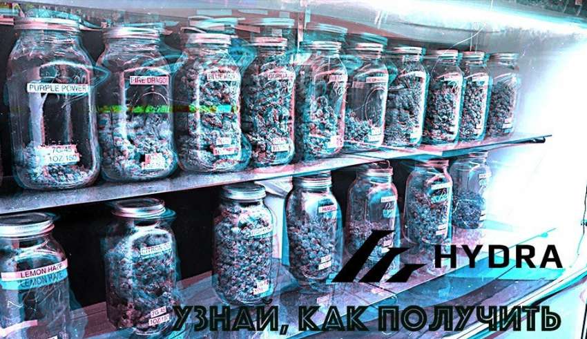 Kraken новая ссылка